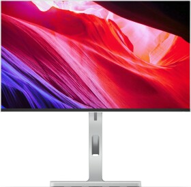 Lenovo L24m-4A (67BDUAC6SE)