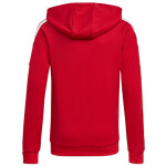 Squadra 21 Hoody Youth Jr GP6433 Adidas