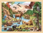 GOKI Drevené puzzle Divoká príroda Severnej Ameriky