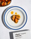 Vilgain Slávky BIO – V extra panenskom olivovom oleji a jablčnom octe 111 g