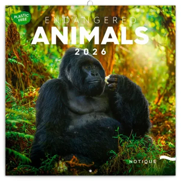 NOTIQUE Poznámkový kalendár Ohrozené druhy 2026 / 30 x 30 cm (PGP-35673)