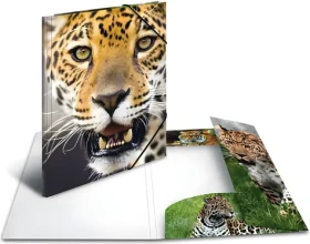 Herma Dosky s gumičkou Leopard A4 / Dosky s gumičkou / Polypropylén / Viacfarebné (7137)
