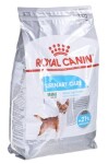 Royal Canin Dog Mini Urinary Care