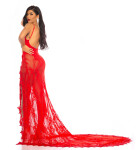 Soo Seductive! open back lace Red Carpet Dress Red Einheitsgroesse