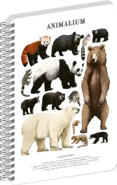 NOTIQUE Animalium Medveďovité šelmy / Špirálový blok / A5 / čistý