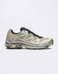 Salomon XT-6 Gore-Tex Eucalyptus/Silves/Cosmic 42 2/3