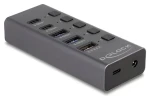 DeLock USB Hub 5 Gbps sivá / USB hub / 2× USB-A + 2× USB-C / hosť USB-C (64248)
