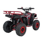 Mamido Detská benzínová štvorkolka RamiGO SIRIUS 49CC červená