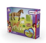 Schleich Horse Club 42432 Sarah - sada na ošetrovanie mláďat