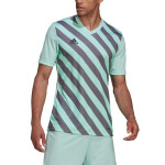 Pánsky dres Entrada 22 Graphic Jersey HF0119 Adidas