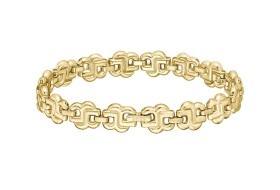 Hugo Boss Fashion pozlátený náramok Double B 1580741