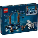 LEGO® Harry Potter™ 76432 Zapovedaný les: Čarovné stvorenia