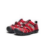 Detské sandále KEEN SEACAMP II CNX ribbon red/alloy - 24