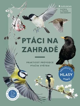 Ptáci na zahradě, Heckerová Katrin