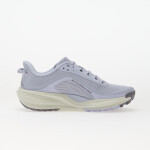 Tenisky Nike Acg Pegasus Ghost/ Cement Grey-Mineral Slate EUR 38