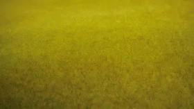 NOCH Trávny koberec Letná lúka