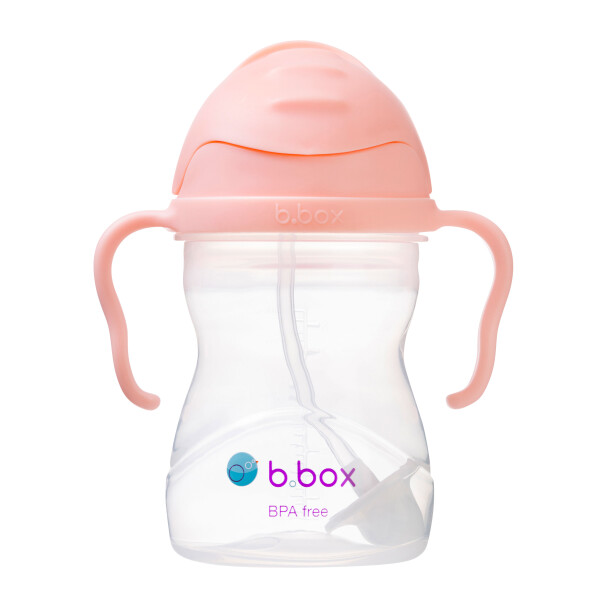 B.box Hrnček so slamkou 240 ml - gelato tutti frutti EUR
