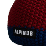 Alpinus