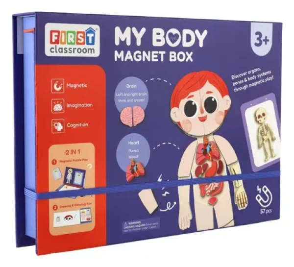 TEDDIES Magnetická skladačka Ľudské telo