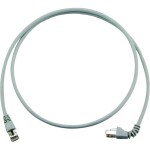 Telegärtner 100008691 RJ45 sieťové káble, prepojovacie káble CAT 6A S/FTP 5.00 m sivá samozhášavý, bez halogénov 1 ks; 100008691
