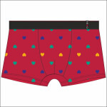 PÁNSKE BOXERKY VALENTINE MIX L