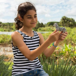 Safari Ltd. Safari Ltd. Figúrka - Zebra