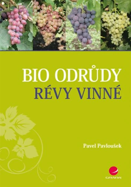 Bio odrůdy révy vinné, Pavloušek Pavel