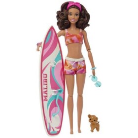 Mattel HPL69 Barbie Surferka s doplnkami