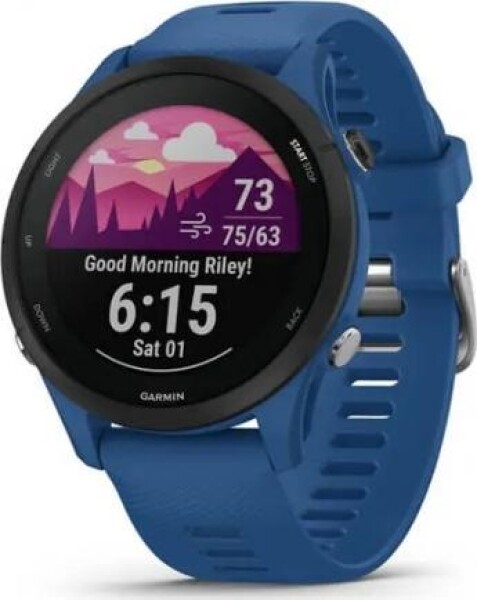 Garmin Forerunner 255 (010-02641-11)