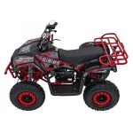 Mamido Detská benzínová štvorkolka RamiGO SIRIUS 49CC červená