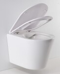 HOPA - Závesné WC OVALE BASSO RIMLESS sa SLIM sedadlom Soft-close OLKLT053ER