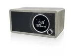Sharp DR-450GR čierna / Prenosné rádio / 6W / DAB+ / FM / BT / LCD displej (DR-450GR)