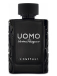 Salvatore Ferragamo Uomo Signature - EDP 100 ml