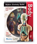 Learning Resources Learning Resources Anatomický model ľudského tela