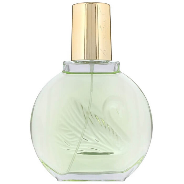 Gloria Vanderbilt Jardin A New York - EDP 100 ml