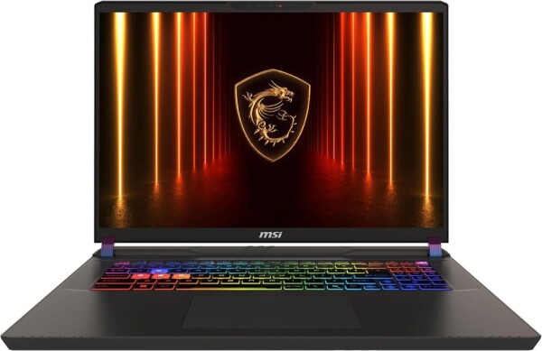 MSI Vector 17 HX AI A2XWJG-089XPL / 64 GB RAM / 1 TB SSD PCIe