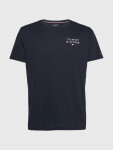 Pánske tričká CN SS TEE LOGO UM0UM02916DW5 Tommy Hilfiger