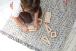 PlanToys PlanToys Duté bloky