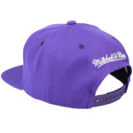 Mitchell & Ness NBA Los Angeles Lakers Top Spot Snapback Hwc Lakers HHSS3256-LALYYPPPPURP OSFM