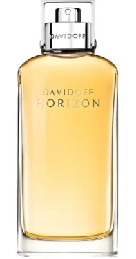 Davidoff Horizon / Pánska toaletná voda / EDT / 125 ml (3614220080499)