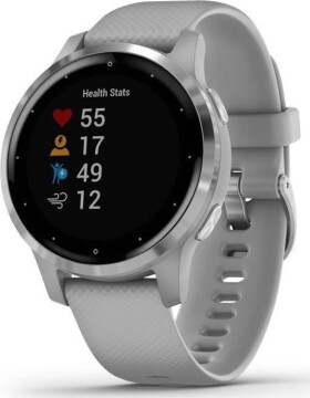 Garmin Vivoactive 4S Sivý (010-02172-02)