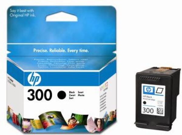 HP Toner CC640EE nr 300 (black)