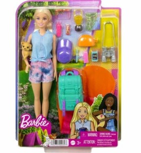 Mattel HDF73 Barbie Kempujúca bábika "Malibu"