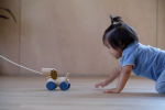 PlanToys PlanToys Ťahacie a strkacie šteniatko