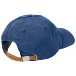 Helly Hansen HH Graphic Cap 48146 636 Univerzální