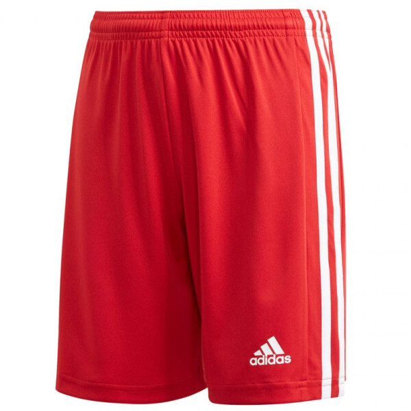 Squadra 21 šortky Adidas