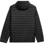 Pánska bunda 4F M240 4FAW23TDJAM240 20S