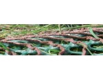 Zatrávňovacia rohož GP Flex GP Flex 1400, (2 x 5 m) – 10 m2