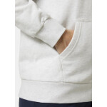 Helly Hansen HH Logo Hoodie 34461 823