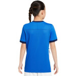 Tričko Nike Dri-Fit Academy 25 SS Jr FZ9758 463 M